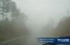 Chú ý lái xe trong thời tiết sương mù