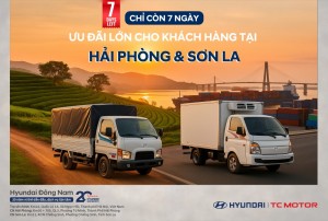 Ưu đãi lớn cho khách hàng tại Hải Phòng và Sơn La chỉ còn 7 ngày!