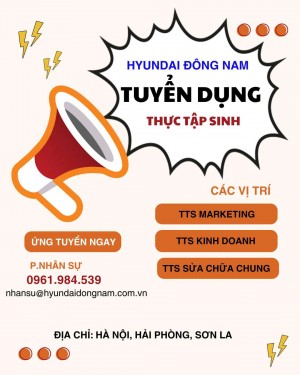 Hyundai Đông Nam tuyển thực tập sinh có lương