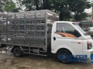 Xe tải Hyundai New Porter H150 chở gia cầm (chở gà) - 1 tấn