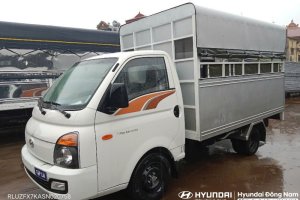 Hyundai Porter H150 Thùng xe tập lái