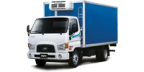 Hyundai W750