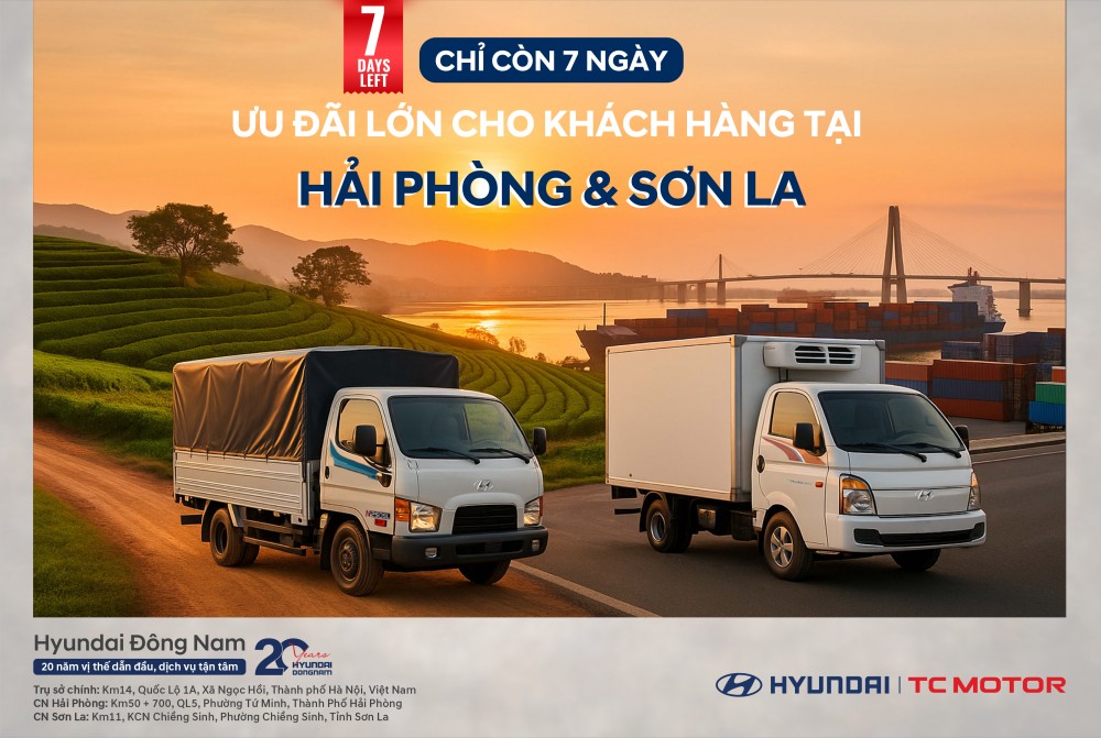 7 ngày4