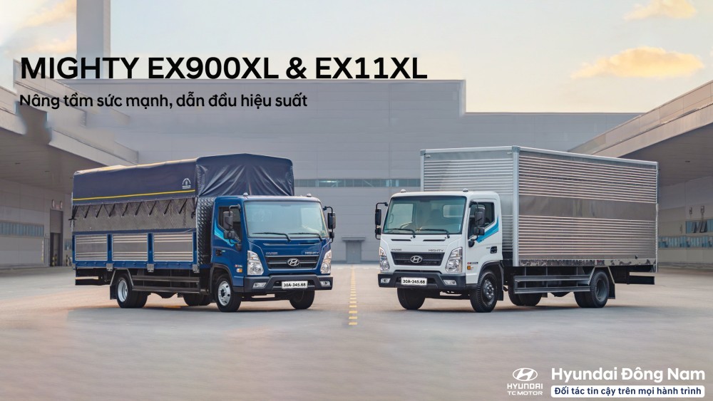 Hyundai EX Series