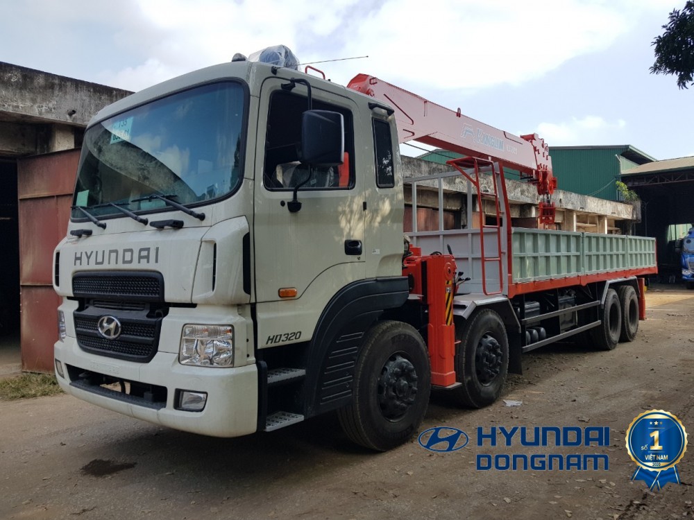 Hyundai HD320 Cần cẩu 12 tấn (3)