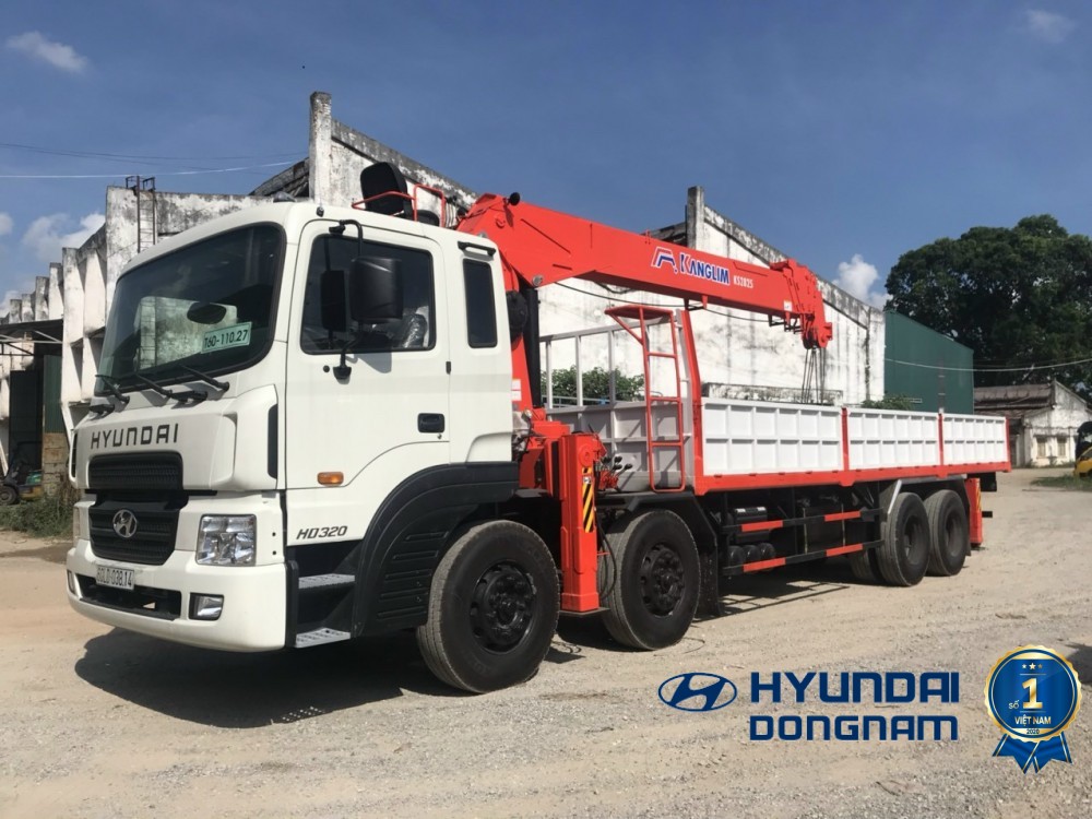 Hyundai HD320 Cần cẩu 12 tấn (5)