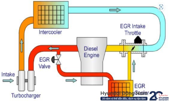 Hệ thống tuần hoàn khí xe EGR + PMC